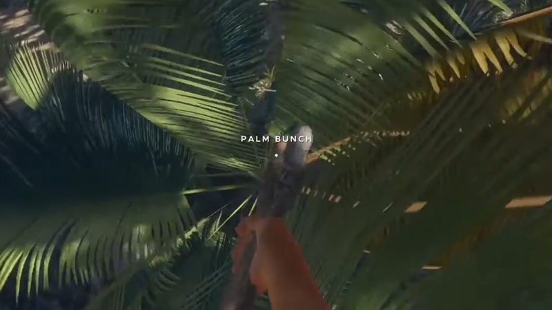 how to get palm fronds in stranded deep