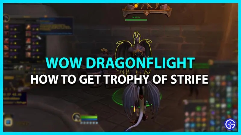 Find Trophy of Strife WoW Dragonflight