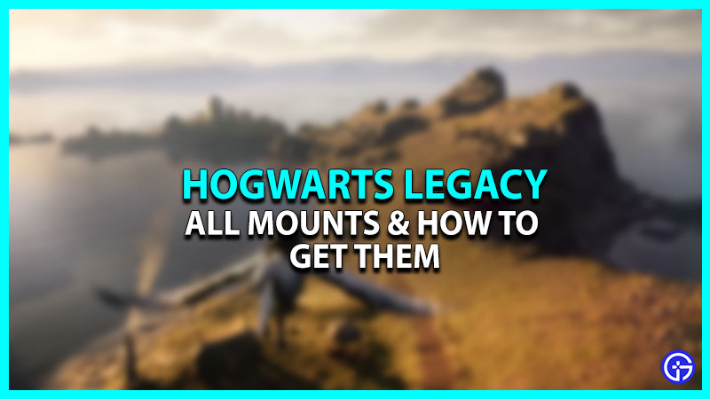 All Mounts In Hogwarts Legacy: How To Get Them