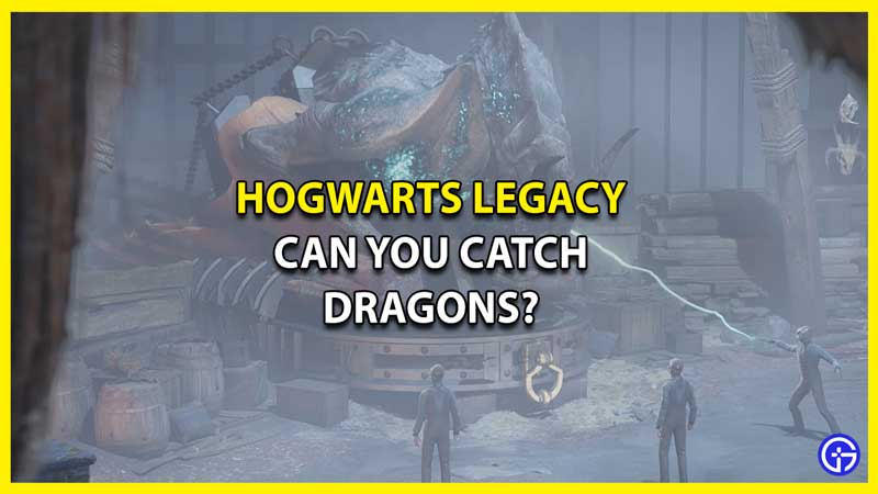Can you Catch & Ride Dragons in Hogwarts Legacy