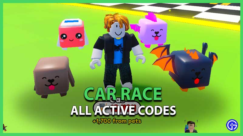 Car Race Codes