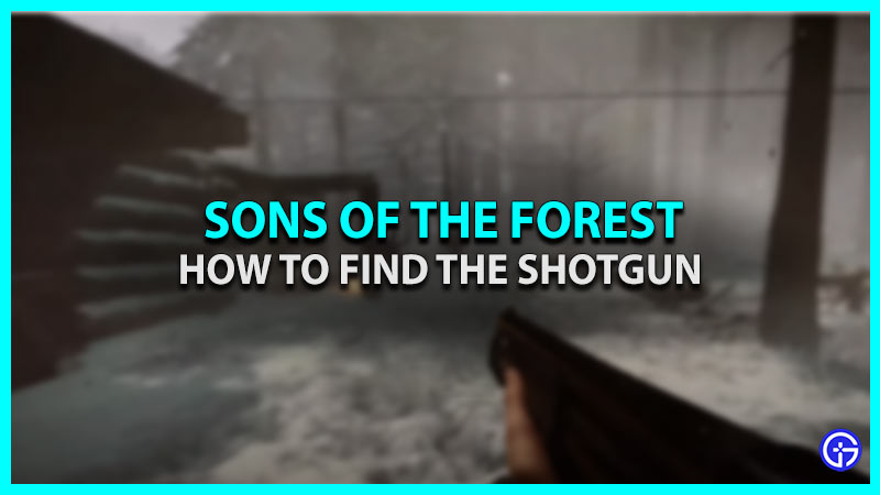 find shotgun sons forest