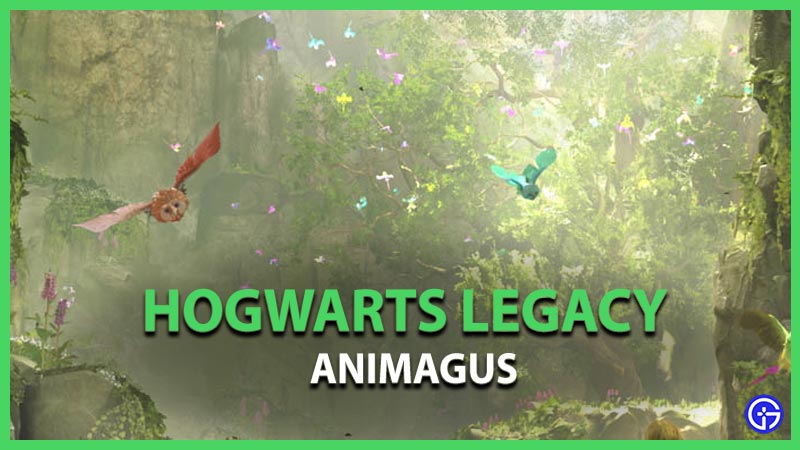 Hogwarts-Legacy-Animagus