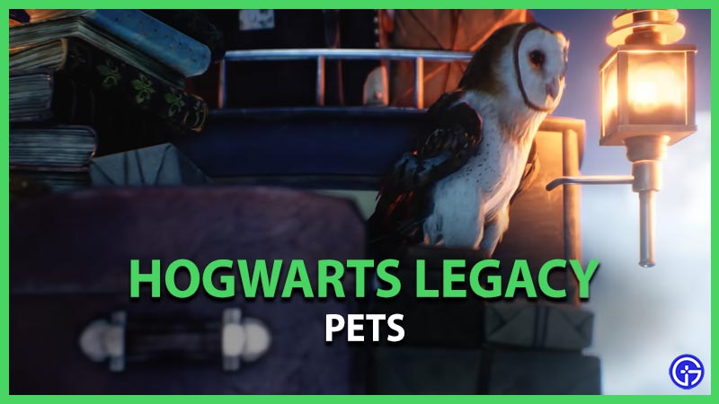 Hogwarts-Legacy-Pets