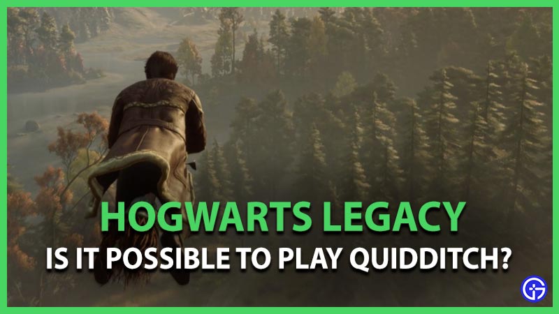 can you play quidditch hogwarts legacy