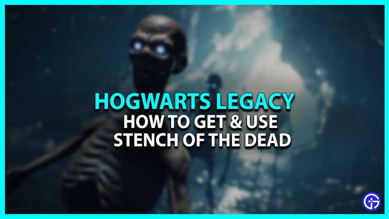 Hogwarts Legacy Stench Of The Dead Guide (Location & Uses)