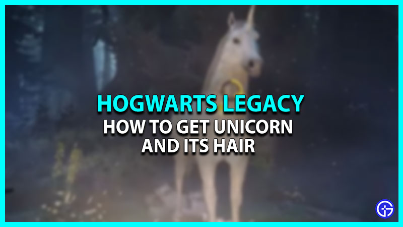 How To Get Hogwarts Legacy Unicorn