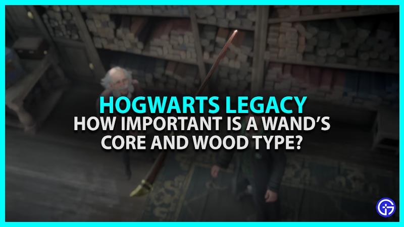 Hogwarts застаріла паличка та основна тип