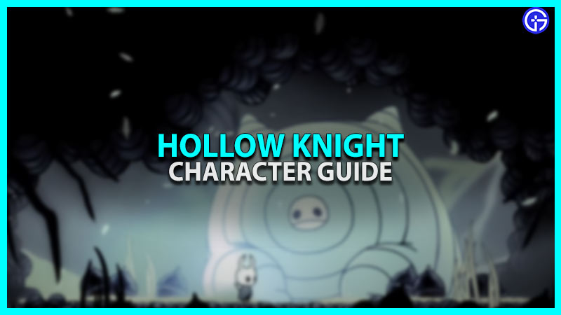 Hollow Knight Character guide