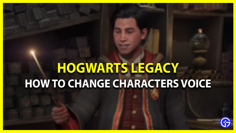 How to Change Your Character's Voice in Hogwarts Legacy