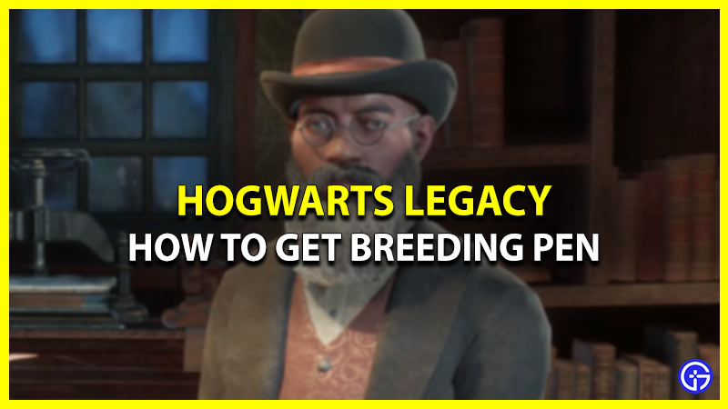 How To Get Breeding Pen In Hogwarts Legacy (Location)