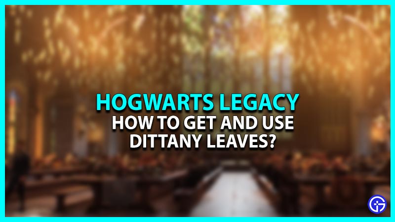 How To Get & Use Dittany Leaves In Hogwarts Legacy