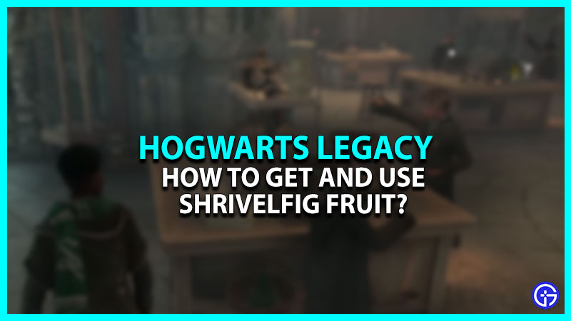 How To Get & Use Shrivelfig Fruit In Hogwarts Legacy