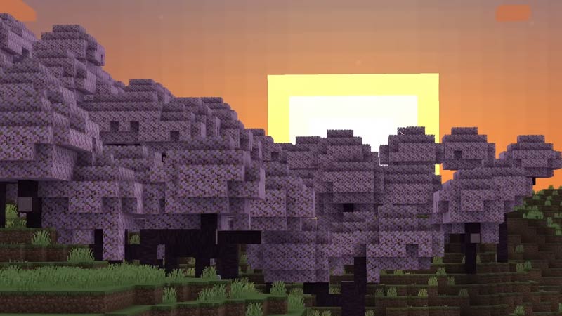 How to Find the Cherry Blossom in Minecraft