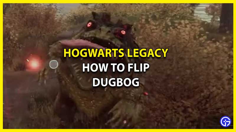 How to Flip Dugbog & Get Dugbog Tongue in Hogwarts Legacy