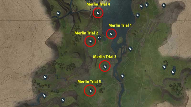 Lower Hogsfield Merlin Trial Solution