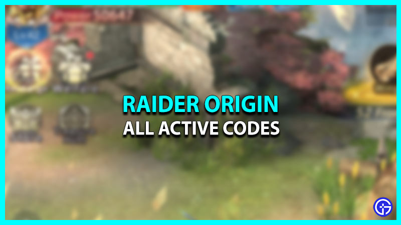 Raider Origin Codes