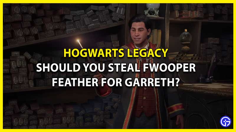 Should you Steal a Fwooper Feather for Garreth in Hogwarts Legacy