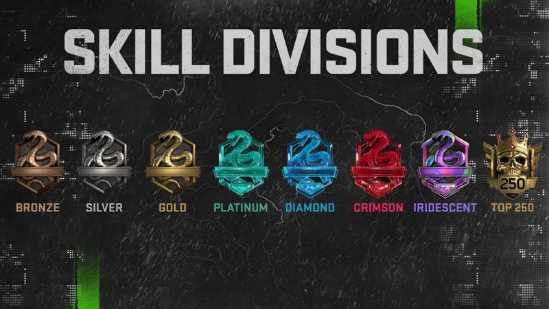 Skill Division