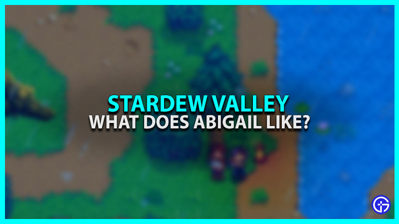 stardew valley what does abigail like