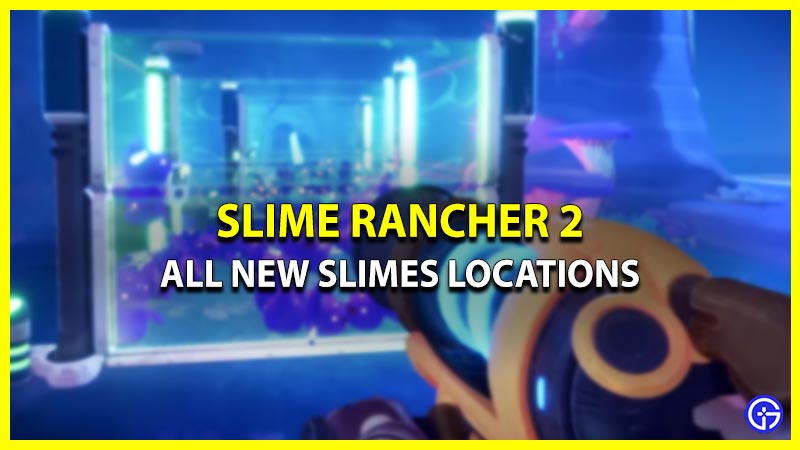 Which are the New Slimes in Slime Rancher 2 (Locations)