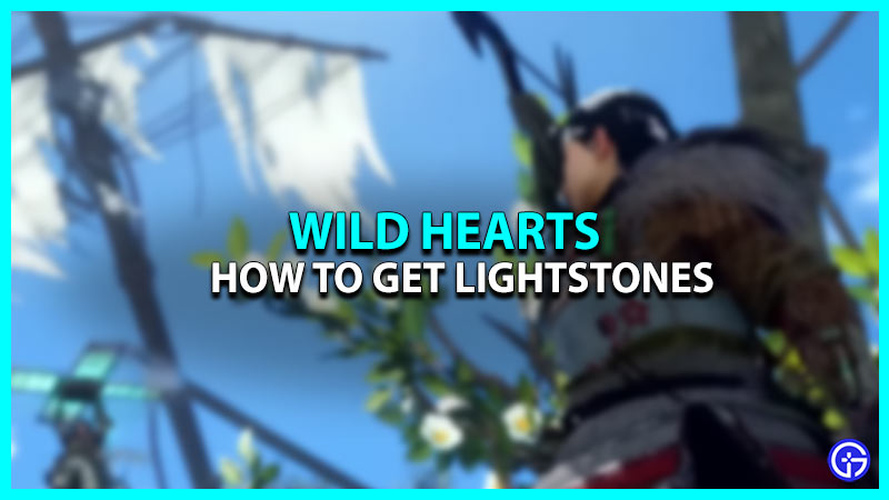 Wild Hearts Lightstone Location: Where To Find Them