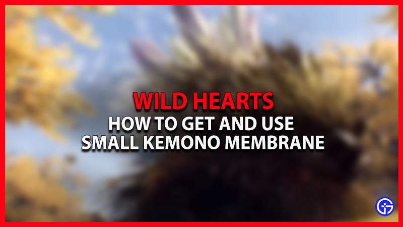 wild hearts how to get and use small kemono membrane