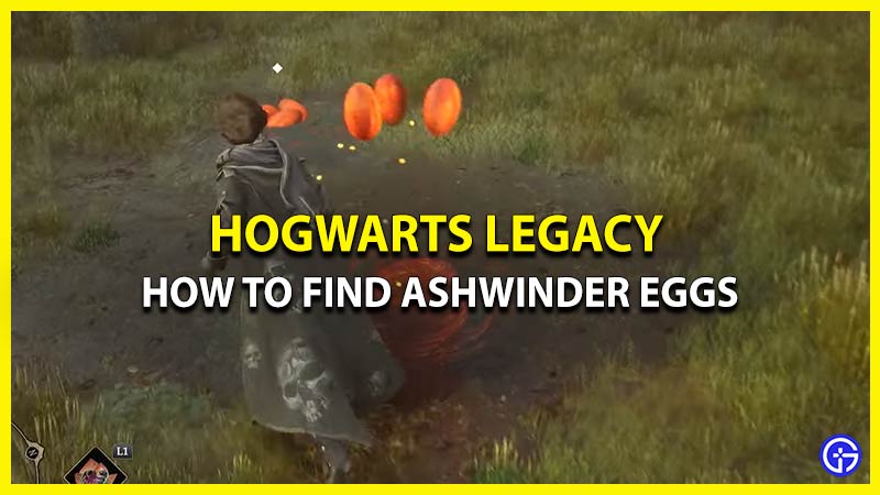 ashwinder eggs location hogwarts legacy