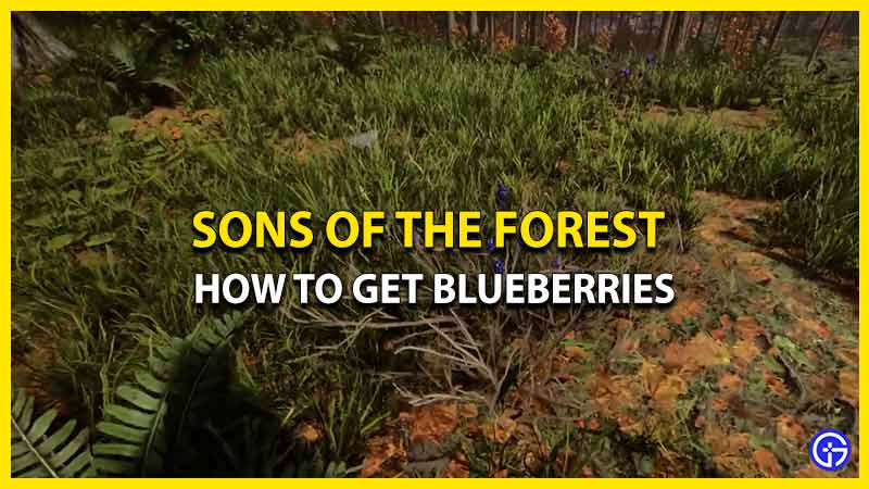 blueberries location sons of the forest