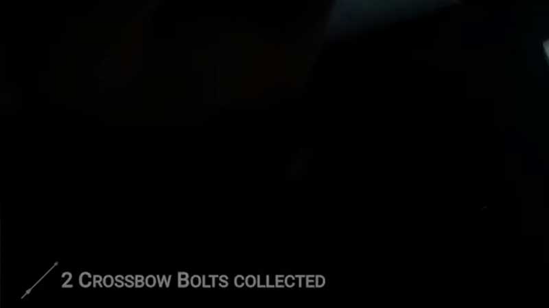 crossbow bolts
