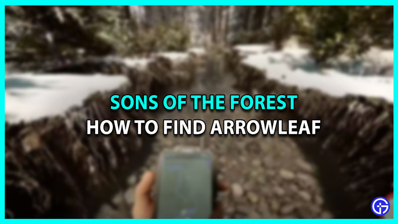 arrowleaf sons of the forest