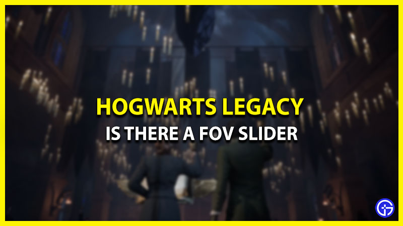 fov slider hogwarts legacy