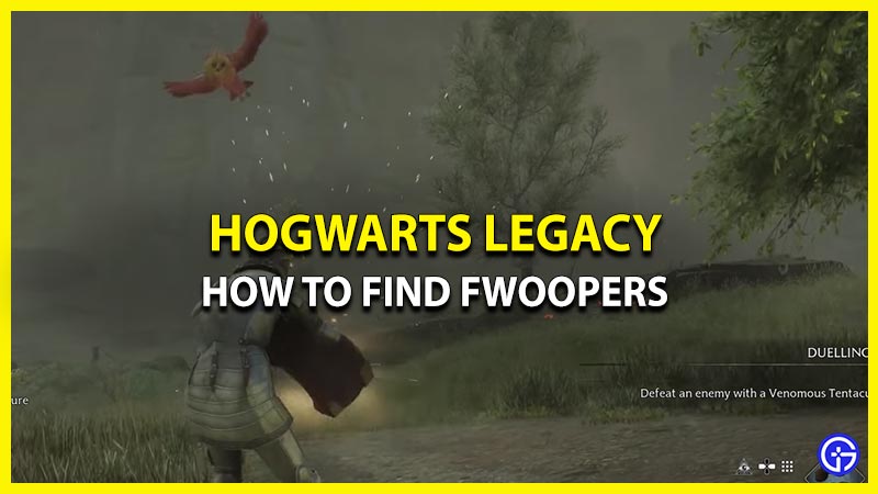 fwopers کے پنکھ fwooper hogwarts میراث