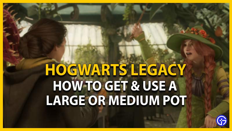 hogwarts legacy get large pot