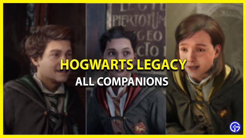 hogwarts legacy companions