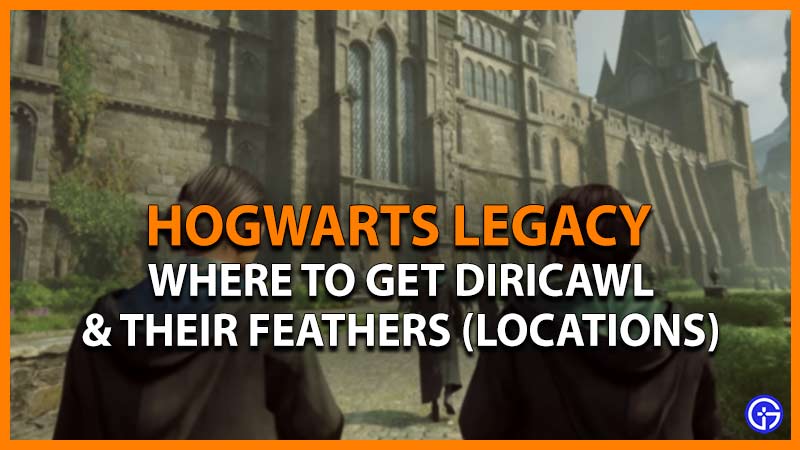 hogwarts legacy diricawl feathers locations