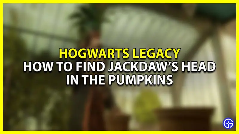 how to find jackdaws head in the pumpkins in hogwarts legacy