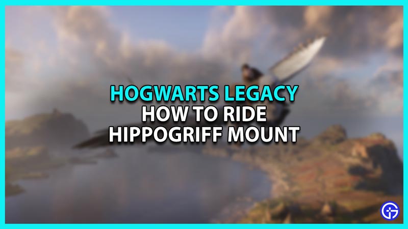 How to Fly Hippogriff Ride in Hogwarts Legacy