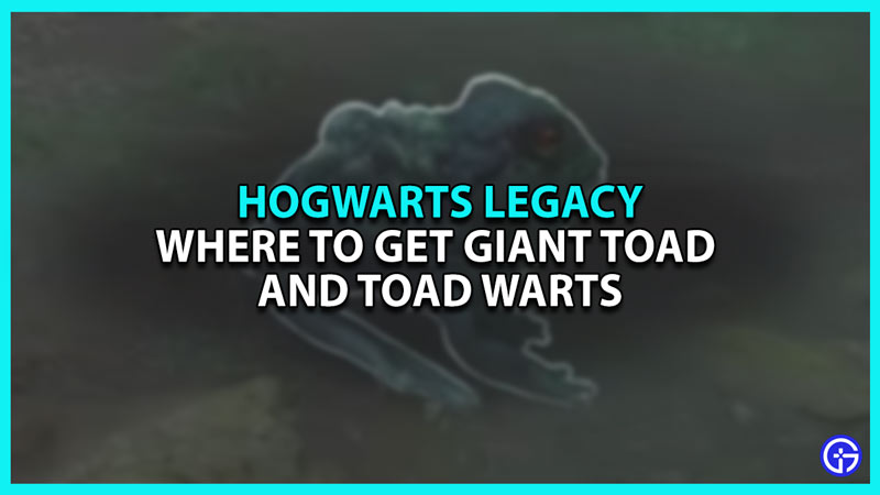 Where to get Giant Purple Toad and Toad Warts in Hogwarts Legacy