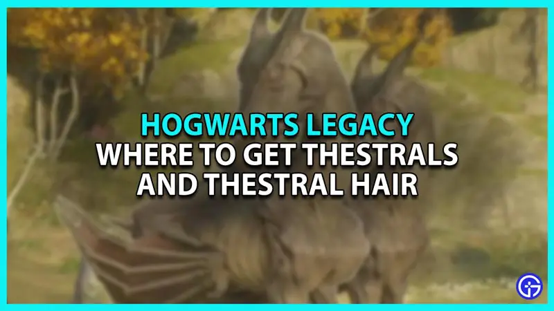 Where to get Thestrals and Thestral Hair in Hogwarts Legacy