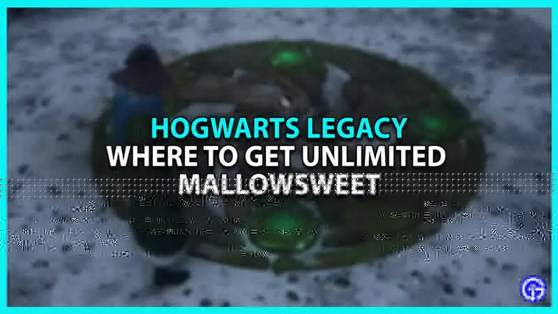 How and Where to Get Mallowsweet in Hogwarts Legacy
