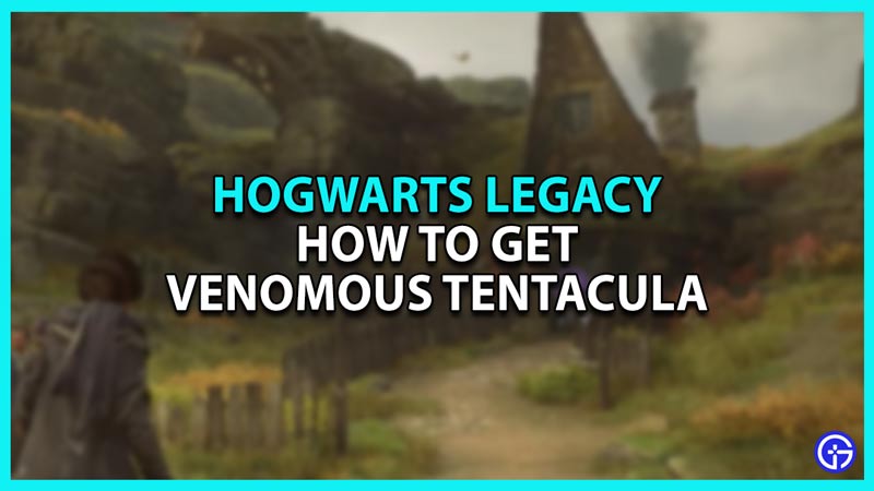 How to get Venomous Tentacula in Hogwarts Legacy