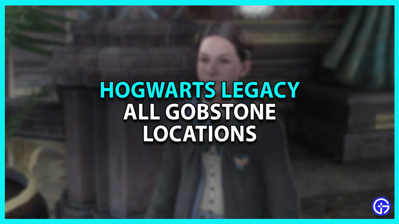 Hogwarts Legacy Gobstone Locations