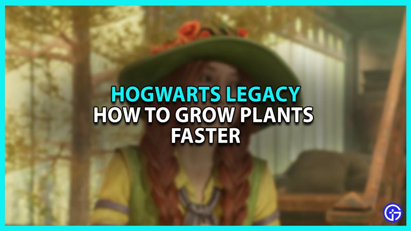 How to Grow Plants Faster in Hogwarts Legacy