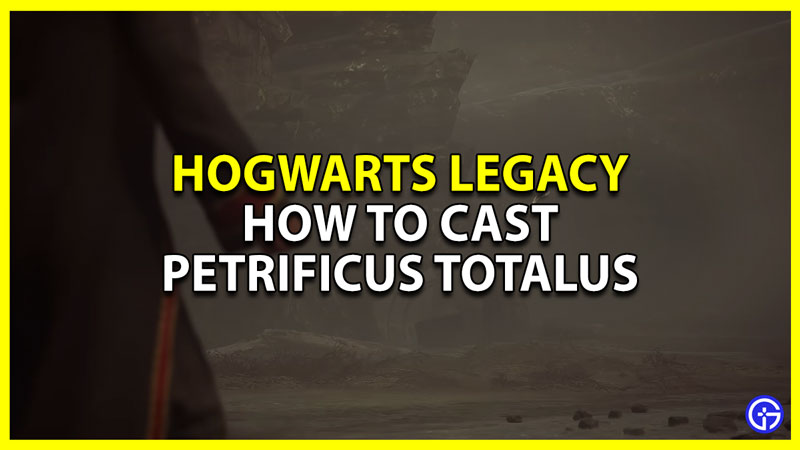 how to use petrificus totalus