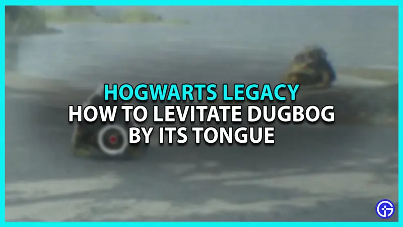 how to levitate dugbog by its tongue in hogwarts legacy