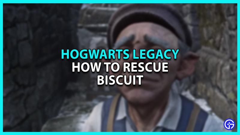 How to Complete Take the Biscuit quest in Hogwarts Legacy