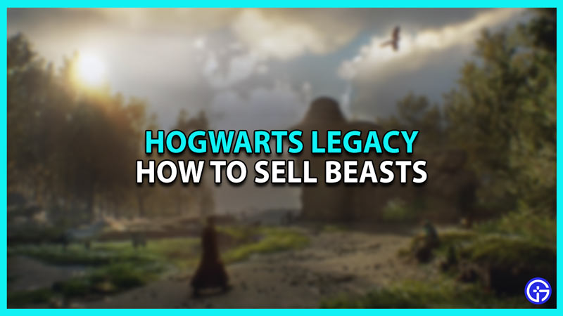 How to Sell Beasts in Hogwarts Legacy