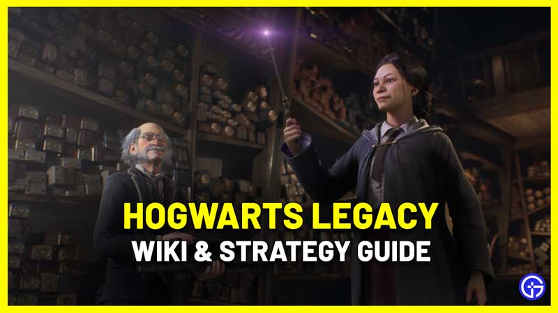 Dark Arts Robe, Hogwarts Legacy Wiki