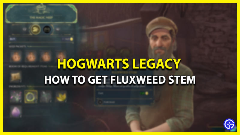 How to get Fluxweed Stem Hogwarts Legacy 